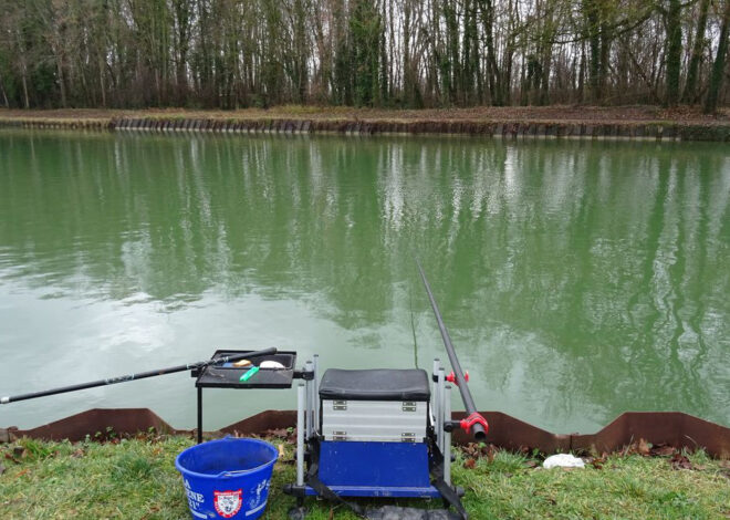 La Pêche du gardon en canal