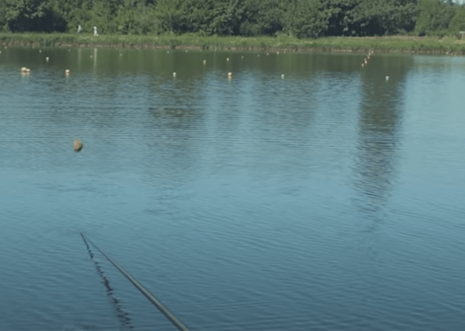 Amorçage d’un coup, attirer les poissons à votre convenance