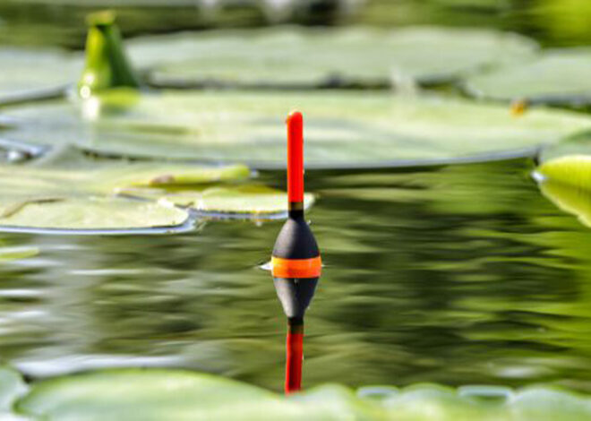 La pêche au coup le montage des lignes