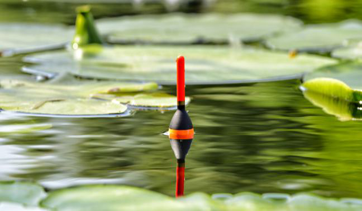 La pêche au coup le montage des lignes