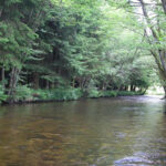 Les règles de la pêche en rivière