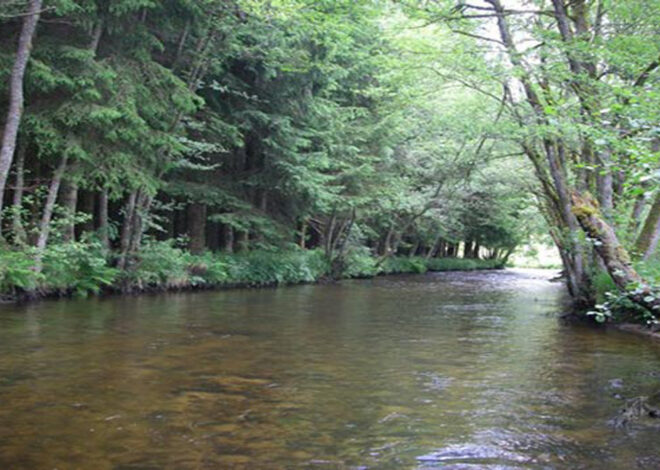 Les règles de la pêche en rivière