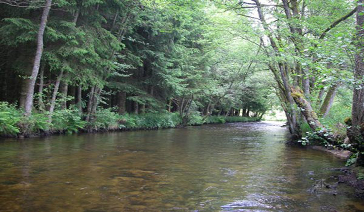 Les règles de la pêche en rivière