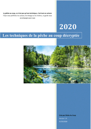 Guide: Les techniques de la pêche au coup décryptée